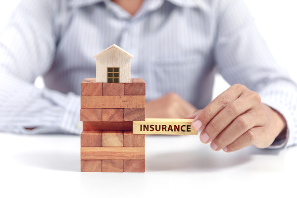 Why does Buying a Home require so much Insurance?